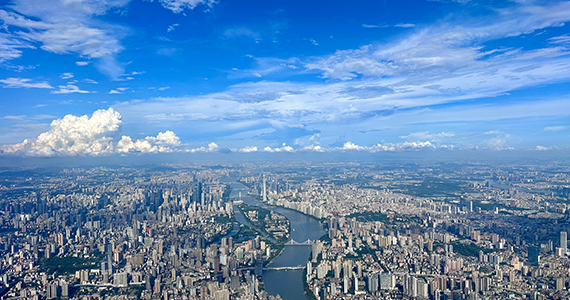 域名注册证网站查询