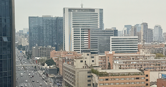 网站域名解析IP查询