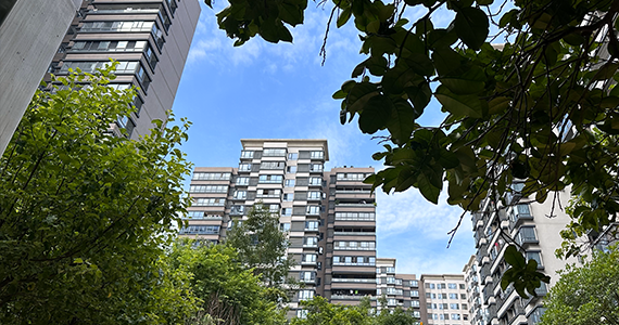 养殖区域域名注册查询网站官方