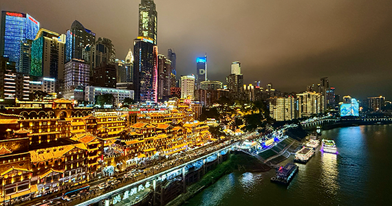 反域名查询网站