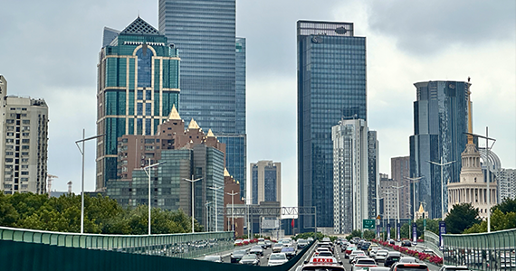 手机注册网站域名查询网址