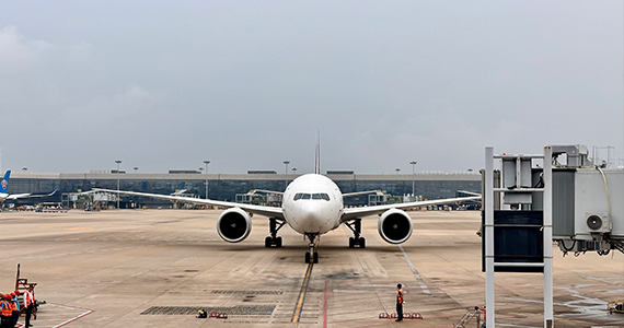 如何查询网站域名解析