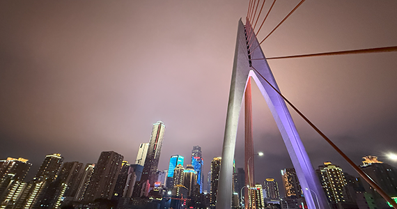 网站域名注册信息查询