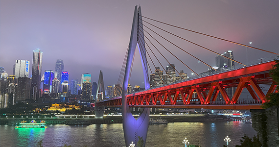 最新网站域名查询